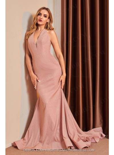 Halter Sheath Dusty Rose V Neck Long Sequence Prom Dresses 2025