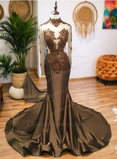 Brown Long Sleeves Satin Prom Dresses 2025 with Appliques